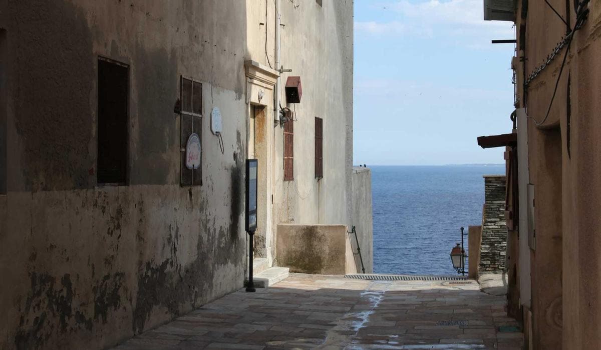 Dashboard Corporativo