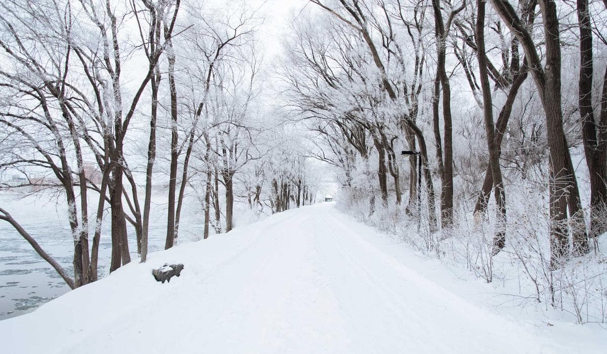 Plataforma Educacional